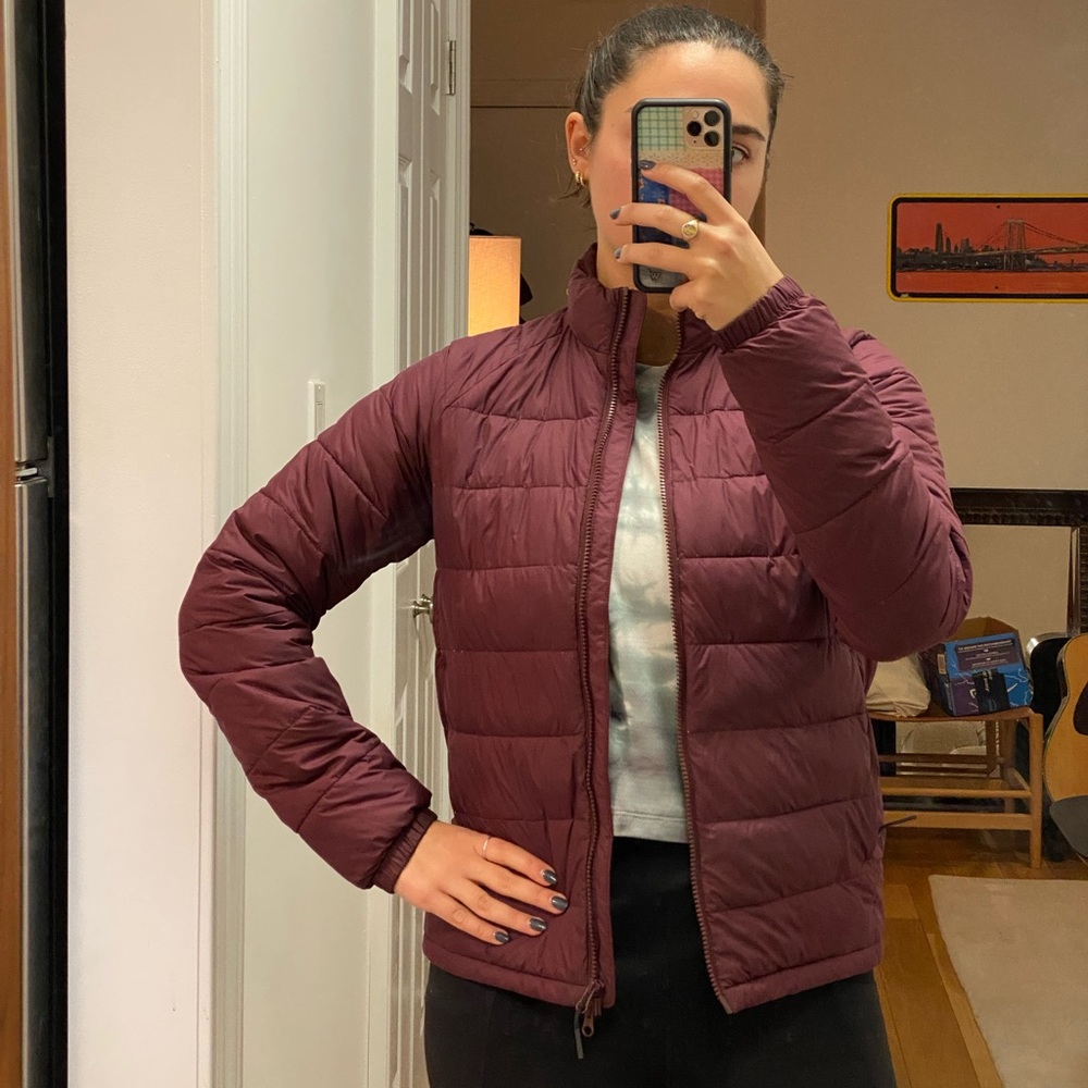 Maroon Everlane puffer.